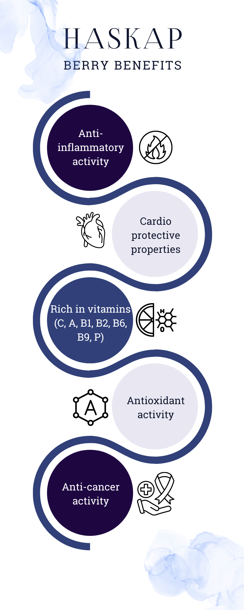 Haskap berry benefis