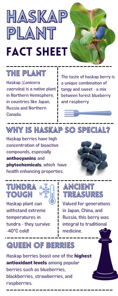 An inphographic that describes the facts about Haskap berry plant and its properties. 